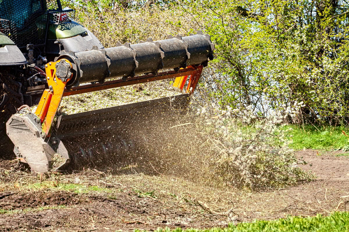 Forestry mulching along roadside