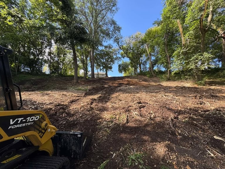 Yellow VT100 mini loader on cleared forest path with tall trees lining both sides under blue sky