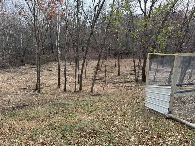 Wooded area with sparse early spring vegetation and a metal livestock shelter or pen structure on the right side