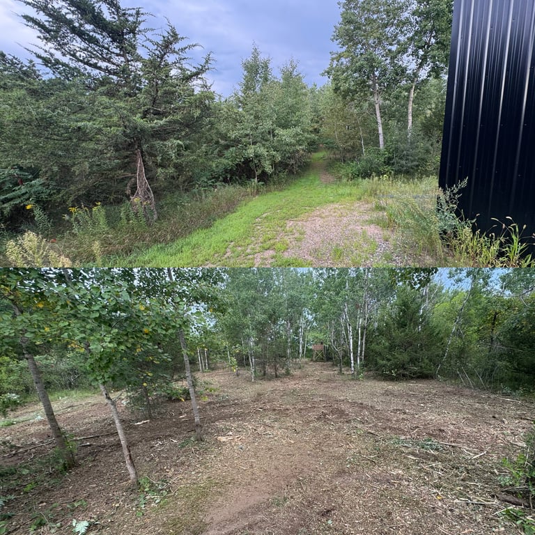 Before and after comparison of a wooded property clearing project showing overgrown hillside with structures and cleared earthen lot with posts