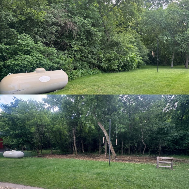 Two views of a residential lawn with large propane tanks, mature trees, and green grass