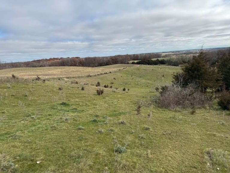 Rolling green hills and meadows with scattered trees under a cloudy sky, showing open countryside landscape