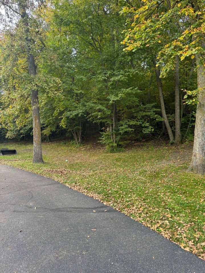 Asphalt path winding through a wooded park with tall trees and golden fall foliage overhead